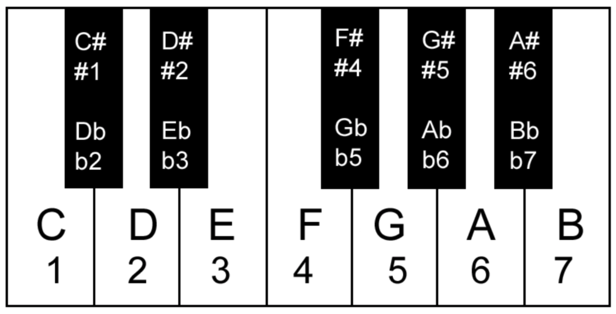 Essential Music Theory for Artists