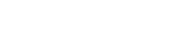PB Plus Bold Logo